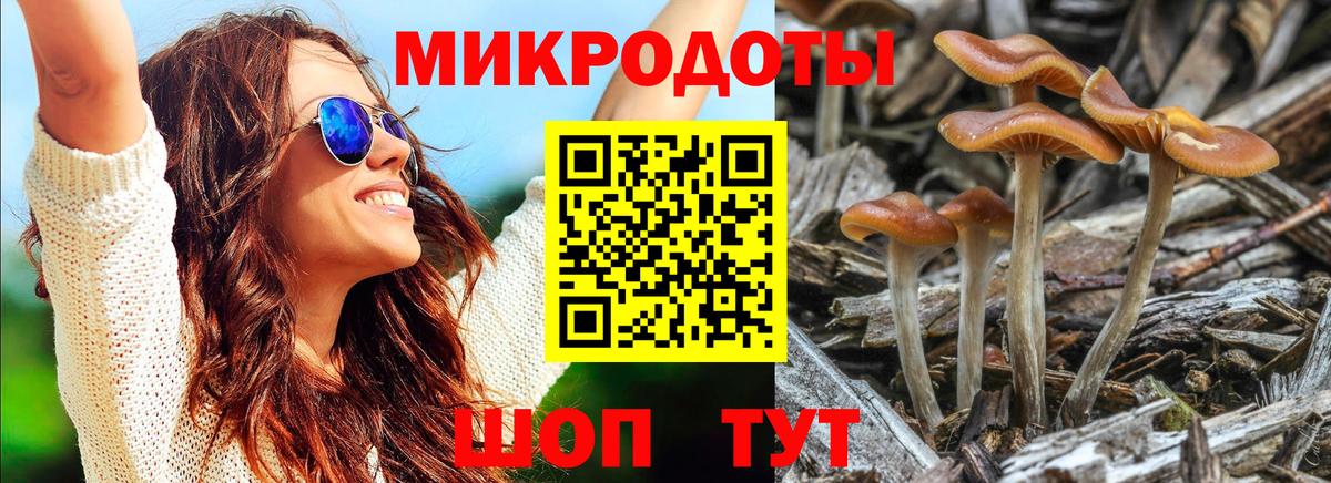 Псилоцибиновые грибы Psilocybe  Галлюциногенные грибы MAGIC MUSHROOMS  Вход с VPN  сколько стоит  Александров 